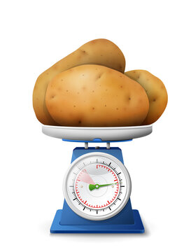 Heap of potato tubers on scale pan. Weighing few root vegetable on scales. Vector illustration about agriculture, veggies, cooking, healthy food, gastronomy, vegetarianism, etc