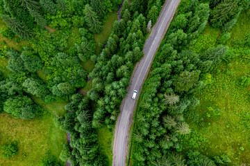 white car driving on asphalt road along the green forest. . Aerial top view  drone photography. transportation and travel concept.