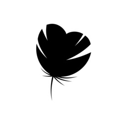 Feather black silhouette. Isolated hand drawn doodle element on white background. Best for seamless patterns, print, cards, stickers and web design.