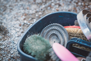 Pferd / Putzzeug / Putzsachen © Petra Fischer