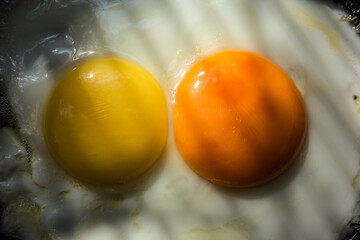 Fried chicken eggs from two eggs with yellow and orange yolk closeup - obrazy, fototapety, plakaty