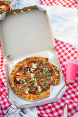 Picnic Pizza. Red-checkered tablecloth. Italian picnic. Pizza with lots of cheese, herbs, and sausages. Margarita, 4 cheese, salami.
