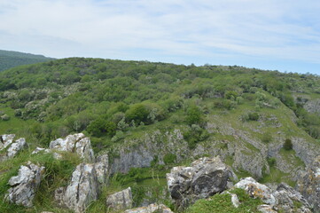 Fototapeta na wymiar Grassy and rocky hill with trees