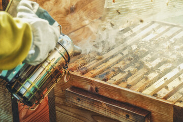 Smoke beekeeper for processing bees by smoke. © jozefklopacka
