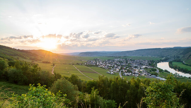 Panoramic view at sunset on the small town of Leiwen in the Moselle region in Germany. 