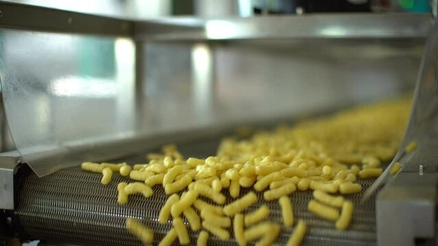 corn sticks move on an automatic conveyor in a food processing factory.