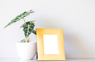 Yellow modern desktop photo frame mock up and  Alocasia sanderiana Bull or Alocasia Plant on  white table and white wall background