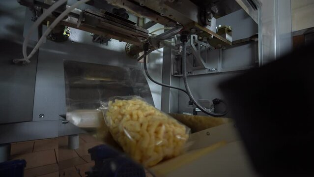 packaging of corn sticks on a conveyor. food production plant. medium plan.