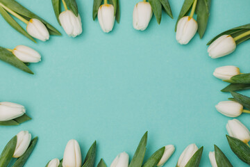 Fototapeta na wymiar Tulips flowers. 8 march. Flowers. 