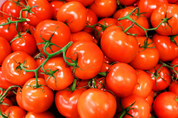 Harvest of red tomatoes. Wholesale and retail sale of fresh vegetables. Selective focus. Close up