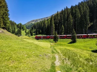Photo sur Plexiglas Viaduc de Landwasser Rhaetian railway drives through an alpine meadow in davos klostes mountains. spring time. wanderlust. High quality photo