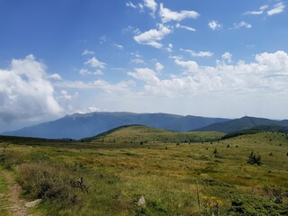 nature animals sky landscape lake people flowers mountains trees clouds grass