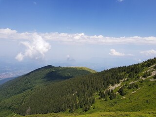 nature animals sky landscape lake people flowers mountains trees clouds grass