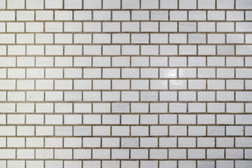 白いレンガタイル貼りの壁
