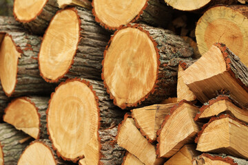 Closeup view of stacked firewood. Heating in winter