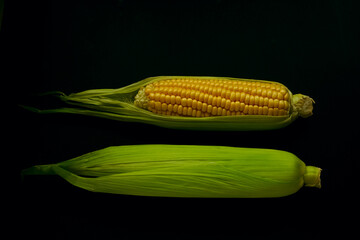 two raw corns  isolated on the black background. 2 Corns on the cob.