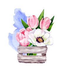 Wooden box with a bouquet of spring flowers. Tulips and anemones. Watercolor illustration.