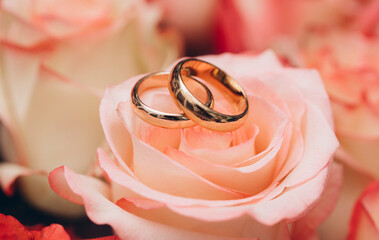 wedding rings and roses