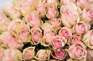Mother day flowers. Mother day. Happy day. Celebration. Holidays. Photo. Flowers. Gift. Toy. Gifts. Spring time. 