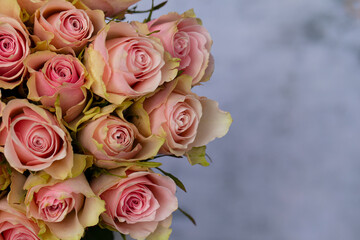 bouquet of pink roses