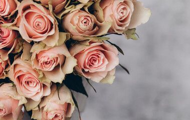 bunch of roses. Rose. Flowers background. Summer time. Nature. Flowers. Beauty. Gift. 