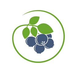 Blueberry logo. Isolated blueberry on white background