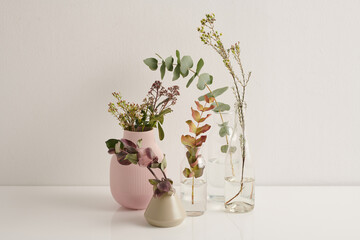 Still life composition of various flowers and plants in vases against white background, copy space