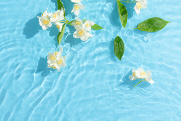 Jasmine flowers and leaves floating on bright blue wavy water. Minimal nature background. Summer scene with sunny day shadows.