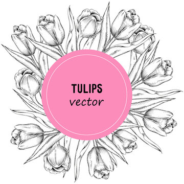 Tulips flowers hand drawn vector background, sketch for engraving vector illustration.