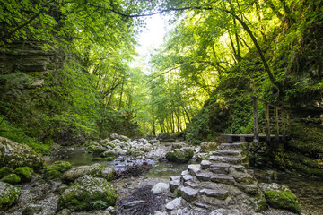 Märchenwald in Kobarid in Slowenien