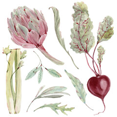 Fototapeta premium Watercolor greenary illustrations. Perfect for vegan or seasonal menu, vegan party, vegan day cards.
