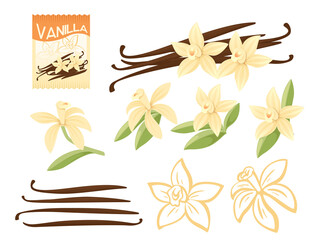 Set of Vanilla seasoning with flower and pods paper package vector illustration on white background