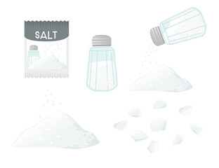 Set of salt seasoning with whole and milled powder salt paper package vector illustration on white background