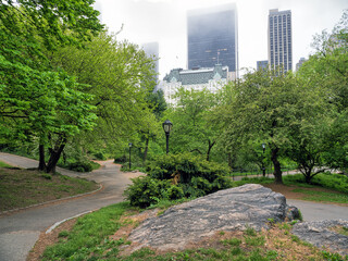 Central Park in spring, foggy