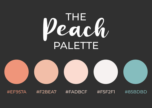 Colors Palette Collection Jpg Summer Edition