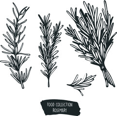 collection of food, rosemary ingredients