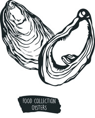 collection of food, oyster ingredients