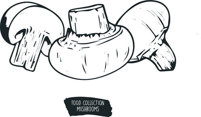 collection of food, mushroom ingredients