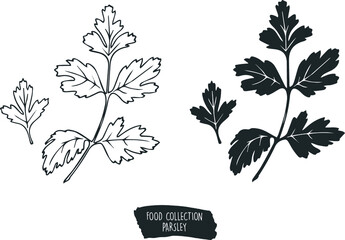 food collection parsley ingredients set