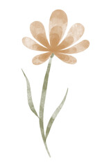 Watercolor trendy flower. Vector illustration for web, app and print. Elegant feminine shape floristic isolated chrysanthemum flower. Garden, botanical, minimalistic floral element.