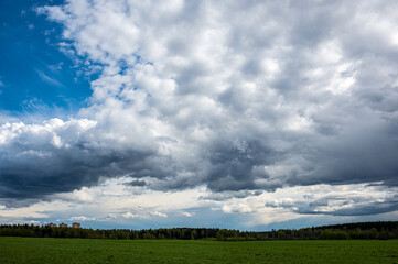 Naklejka premium green field and trees and blue sky with white cloud