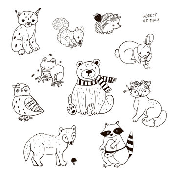 Funny forest animals vector illustrations line set