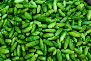 background pattern of vibrant green cucumbers from street market organic fresh vegetables healthy diet