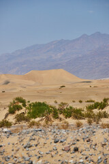 Fototapeta na wymiar Detail of Mesquite Flat Sand Dunes in Death Valley mountains