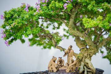 Mini bonsai tree in the flowerpot on bonsai stand a natural background - 507469605