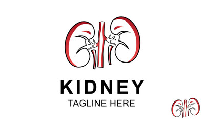 Kidney Logo Design Template. Kidney icon vector. Urology logo design template. 