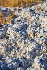 Detail macro view of unusual white sandy desert landscape
