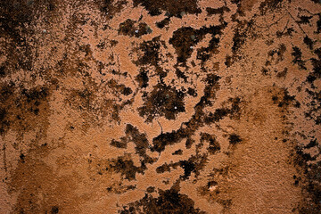 Abstract dark background. Detail of the surface of an ancient Italian bridge with molds and lichens.