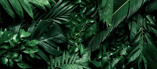 Naklejka na ściany i meble abstract green background with leaves