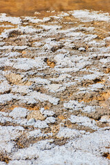 Detail of salt formations on desert landscape in Death Valley